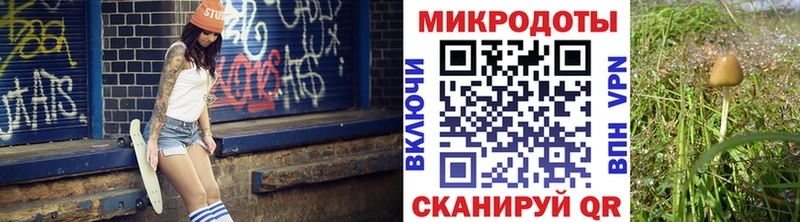 Галлюциногенные грибы Psilocybe  Протвино 