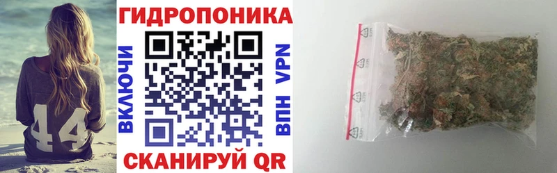 наркотики  OMG ТОР  Бошки марихуана гибрид  Протвино 